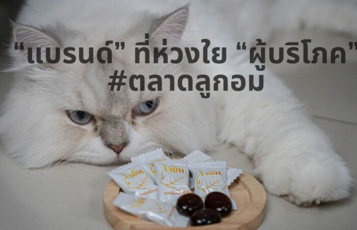ลูกอมสมุนไพร ลูกอมสมุนไพร